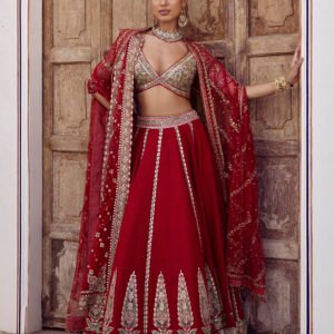 Mritsa Gota Patti Silk Lehenga Set - Red  ₹714,000   MRP Inclusive of all taxes